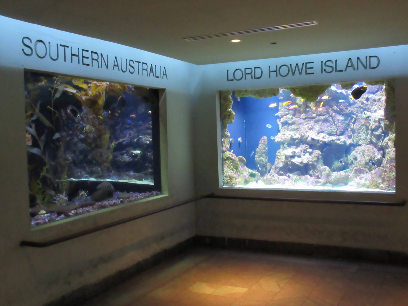 Southern Australia + Lord Howe Island Exhibits