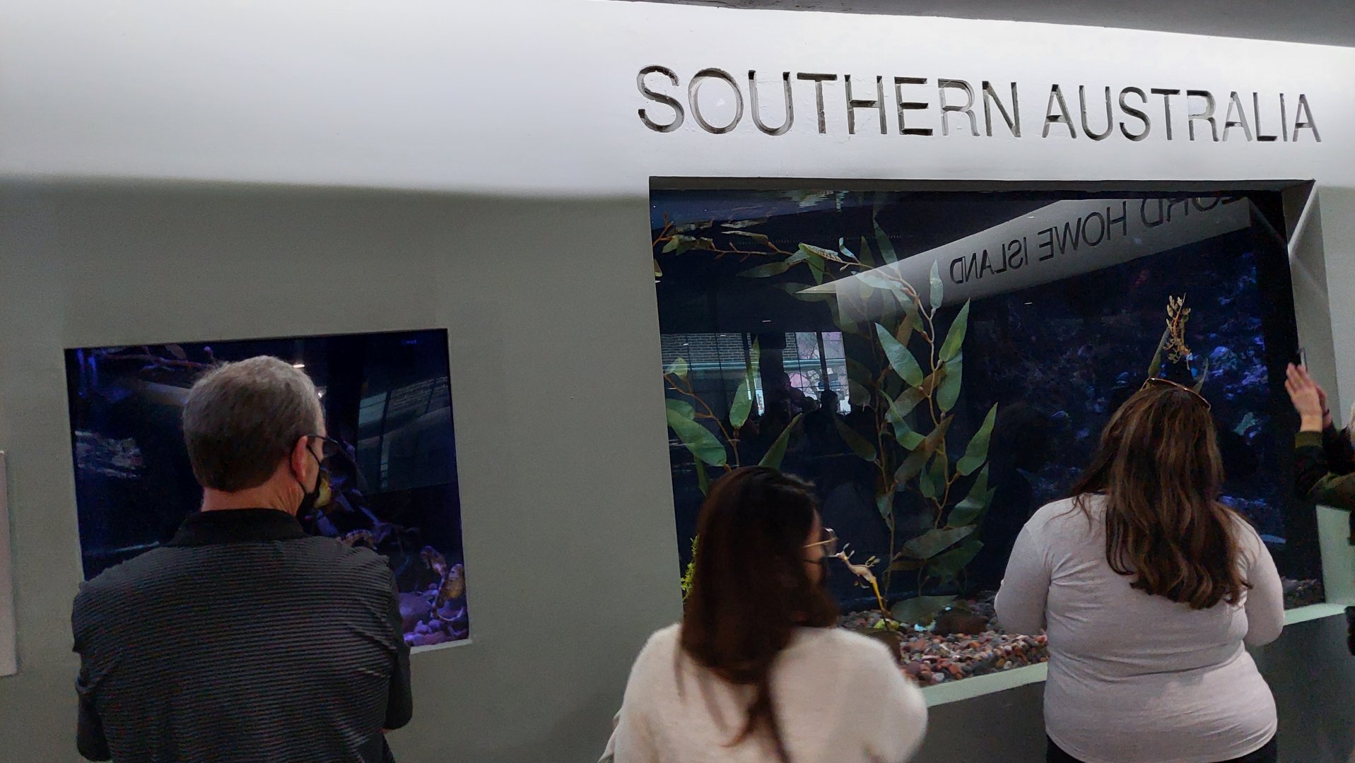 Southern Australia Tanks