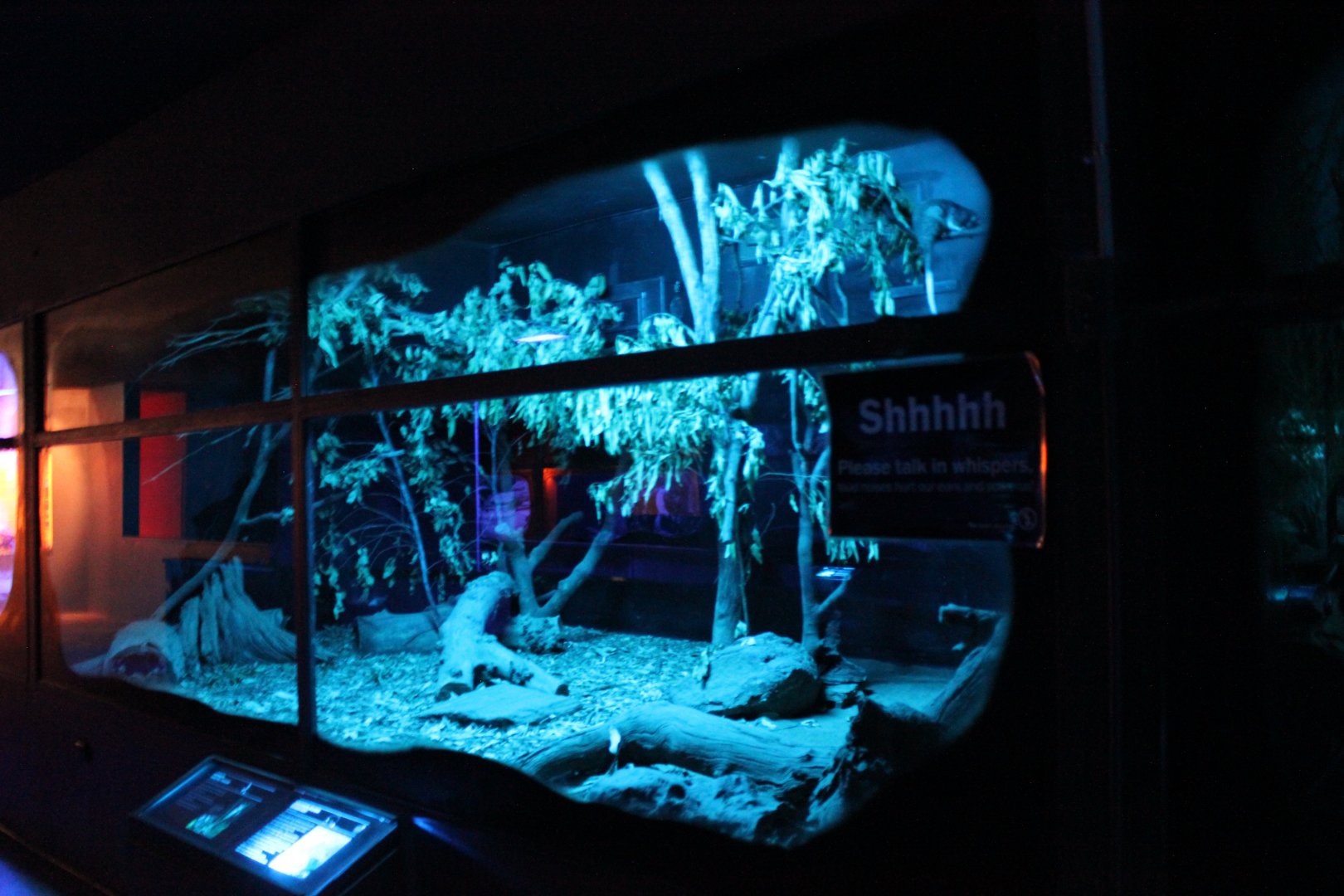 Southern Brown Bandicoot & Common Ringtail Possum enclosure