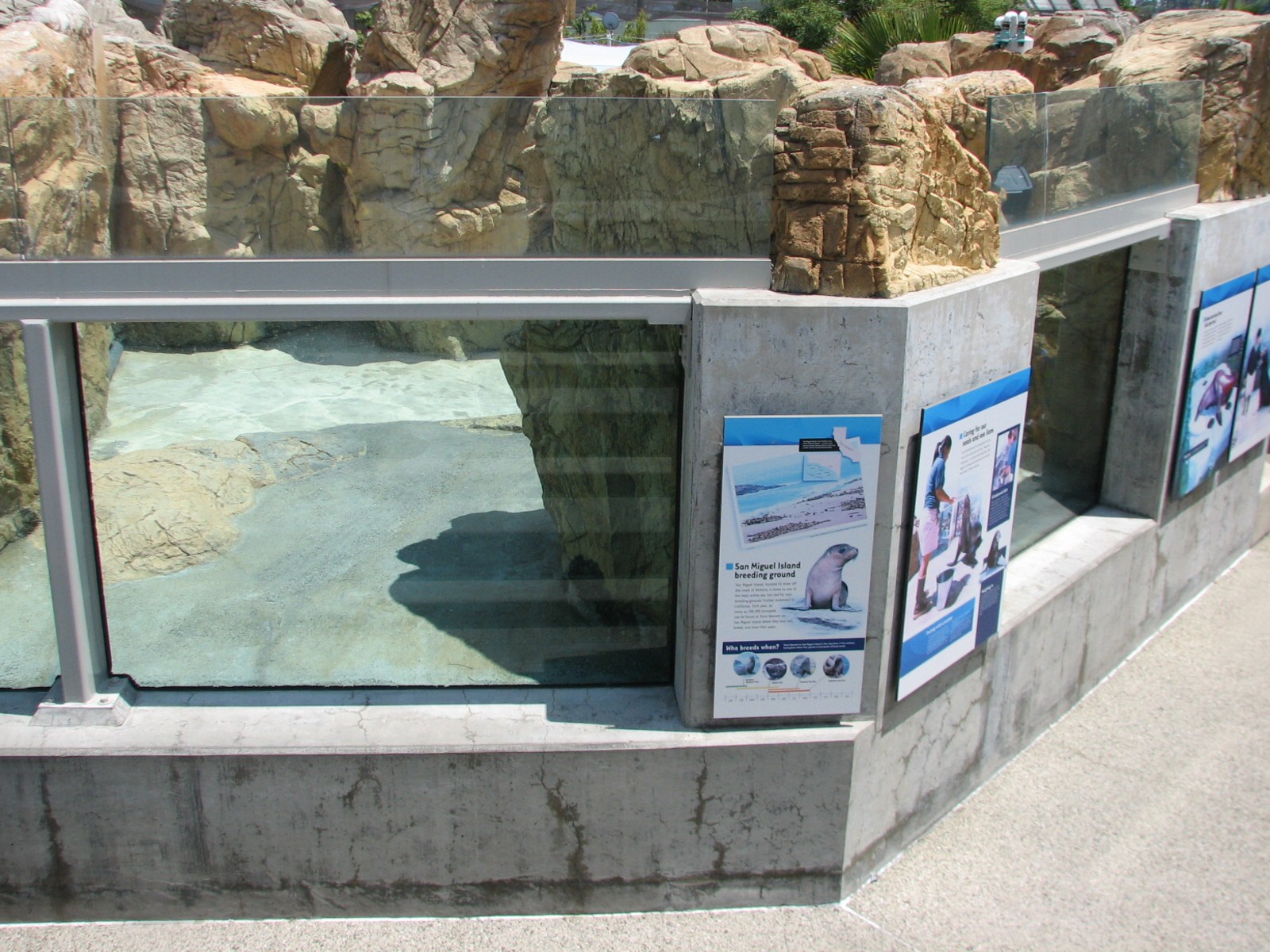 Southern California/Baja Gallery - California Sea Lion and Harbor Seal Exhi