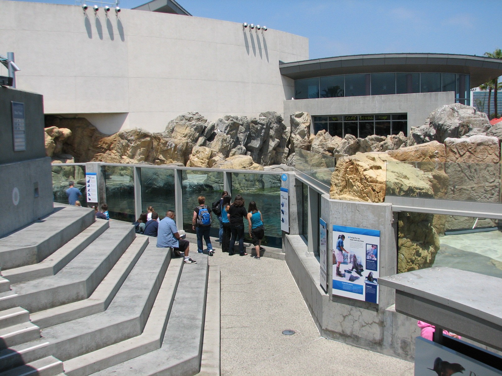Southern California/Baja Gallery - California Sea Lion and Harbor Seal Exhi