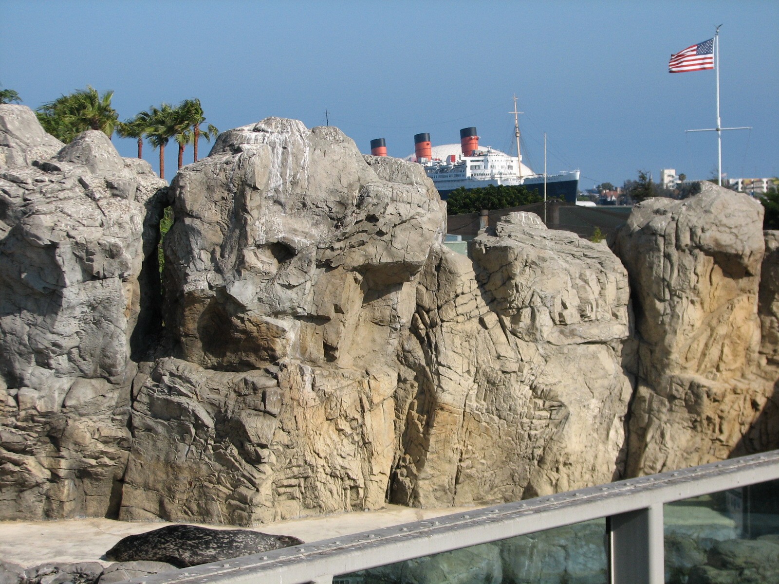 Southern California/Baja Gallery - California Sea Lion and Harbor Seal Exhi
