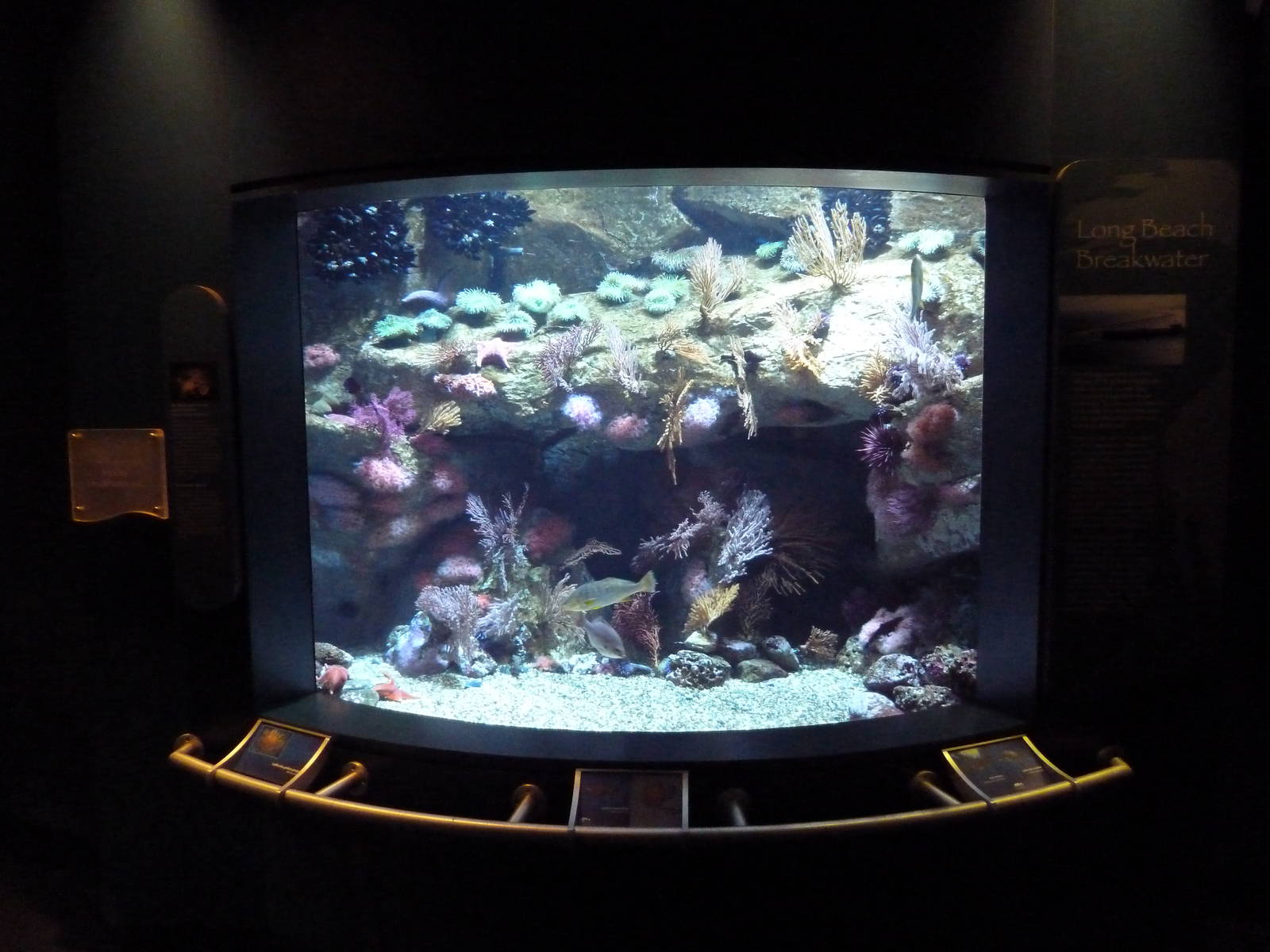 Southern California/Baja Gallery - Long Beach Breakwater Exhibit