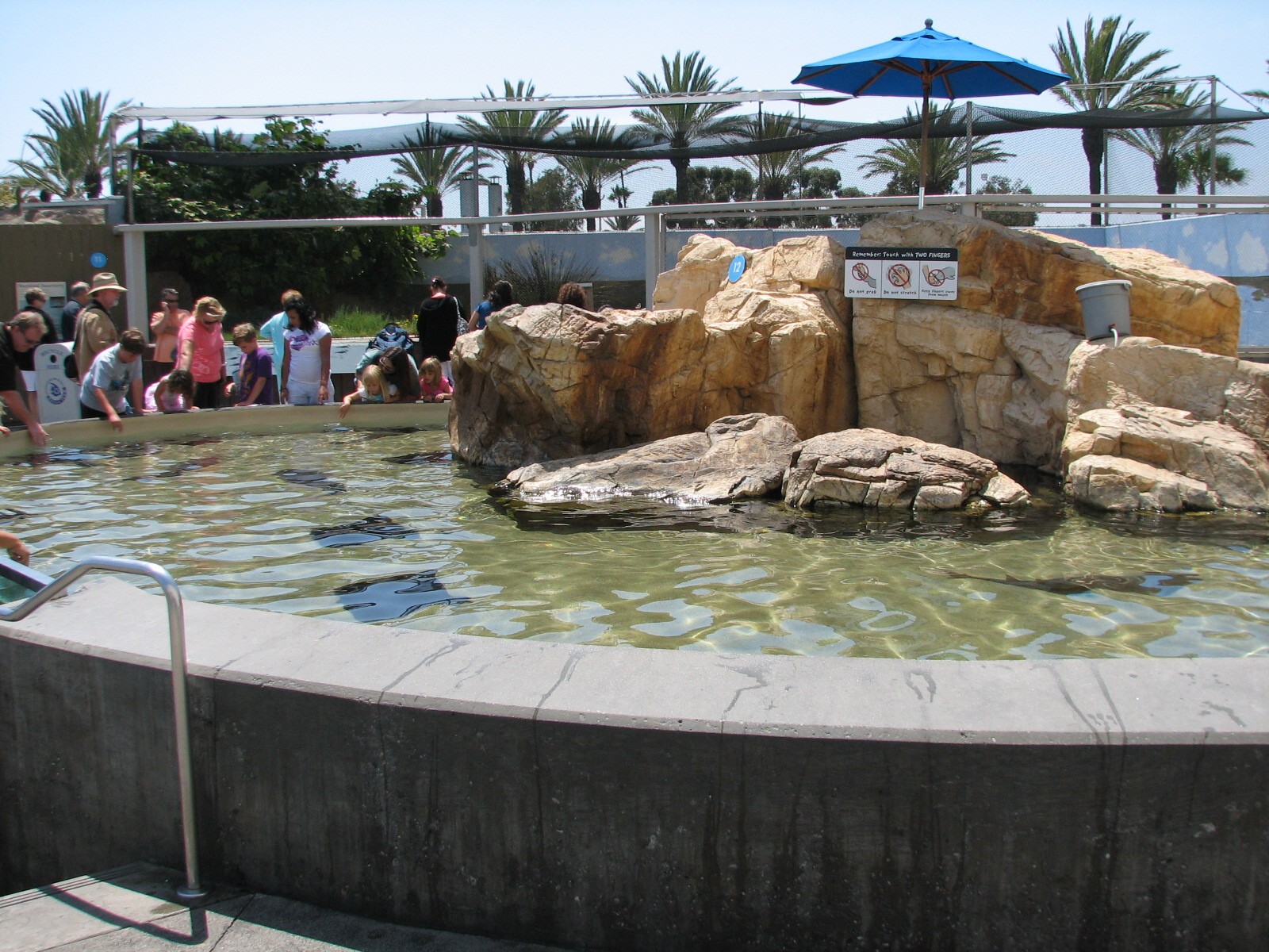 Southern California/Baja Gallery - Ray Touchpool