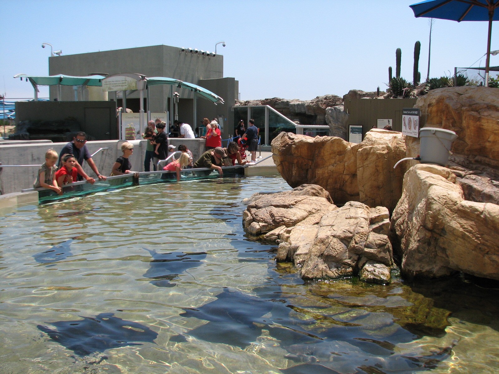 Southern California/Baja Gallery - Ray Touchpool