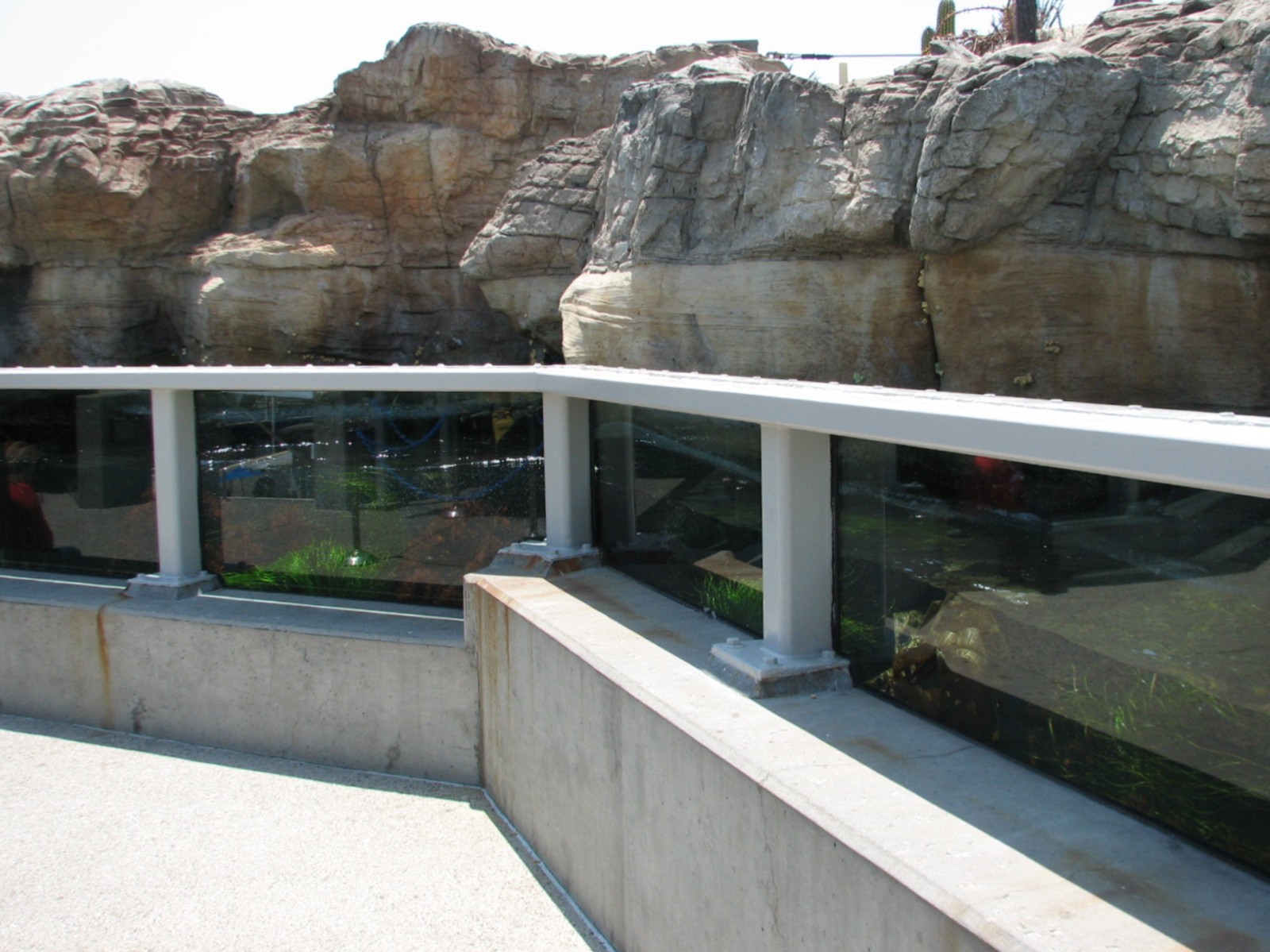 Southern California/Baja Gallery - Rcoky Intertidal Exhibit