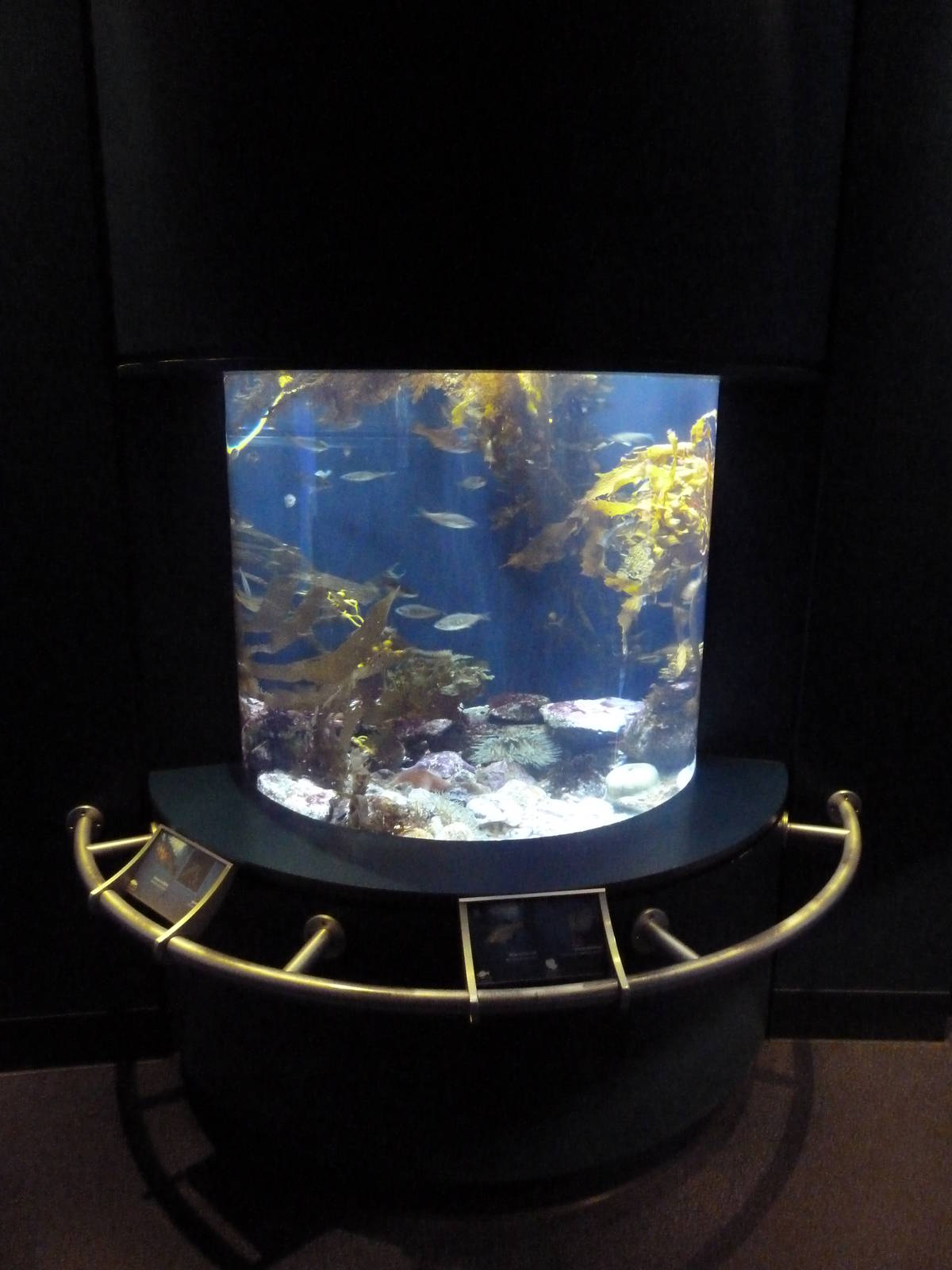 Southern California/Baja Gallery - Redondo Canyon Exhibit