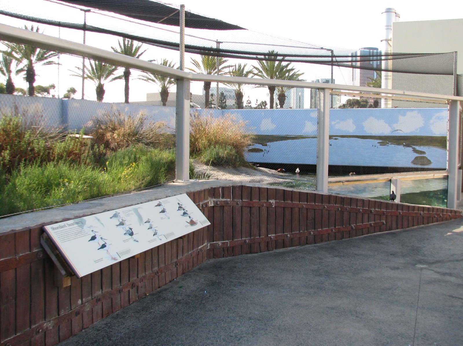 Southern California/Baja Gallery - Shorebird Sanctuary Exhibit