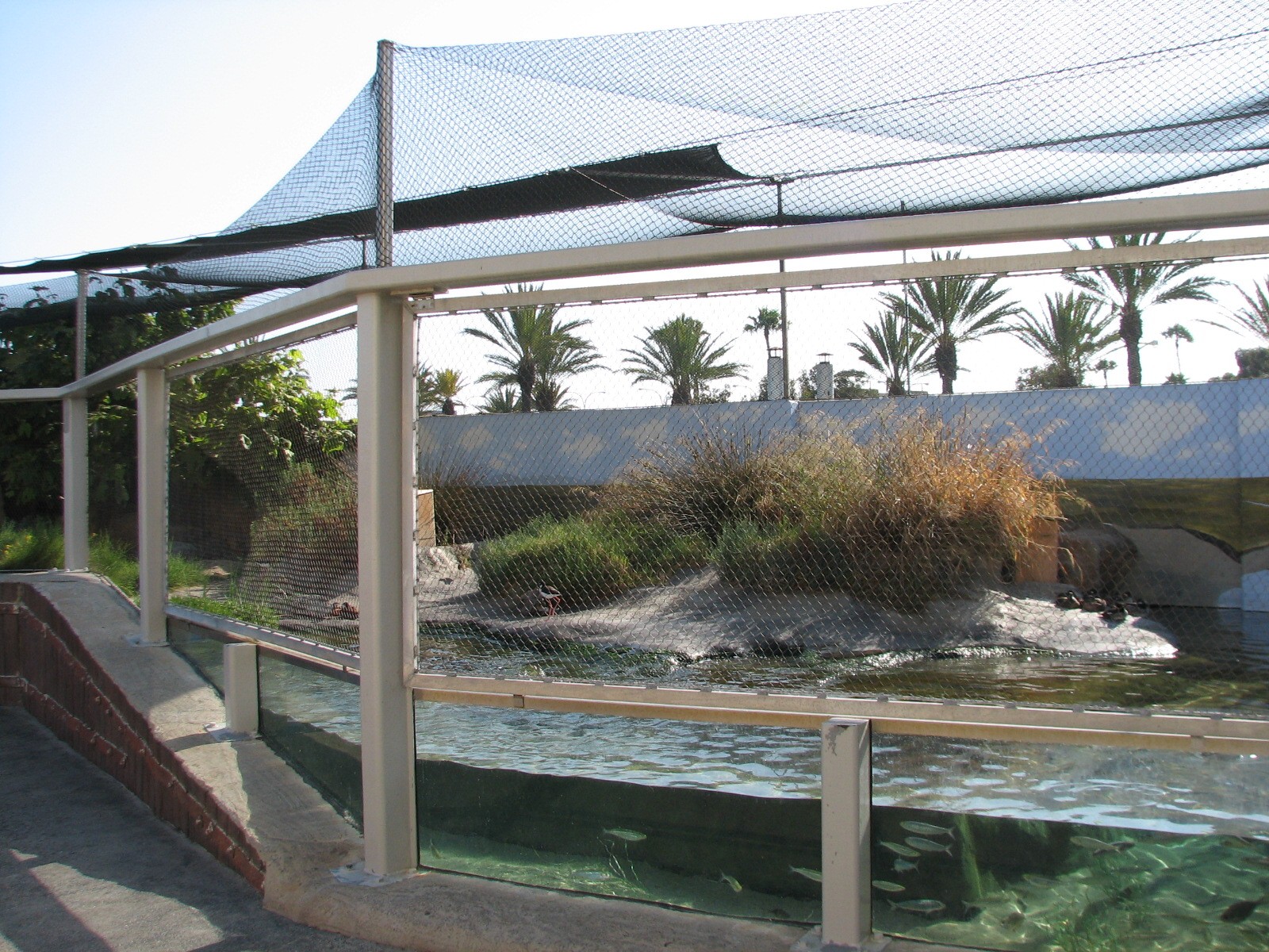 Southern California/Baja Gallery - Shorebird Sanctuary Exhibit