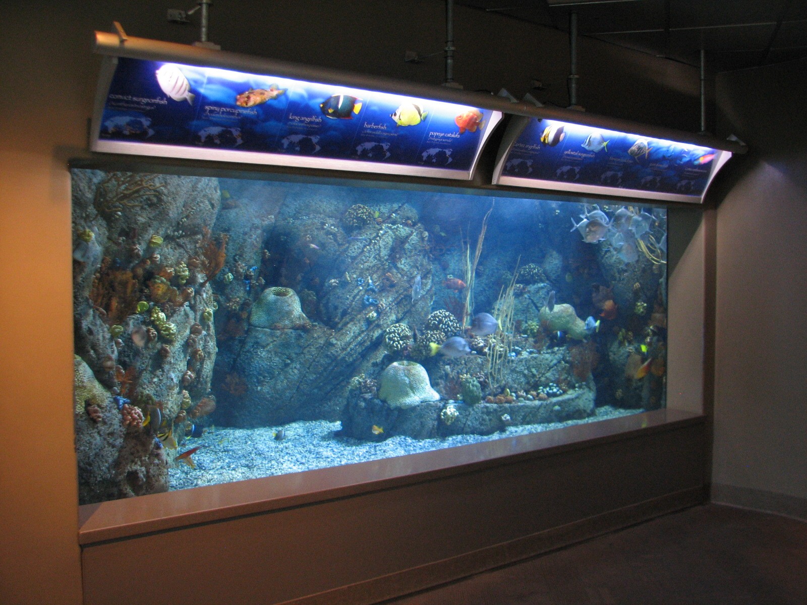 Southern California/Baja Gallery - Southern Gulf Exhibit