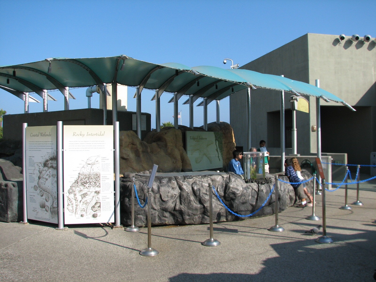 Southern California/Baja Gallery - Tidepool Treasures Exhibits