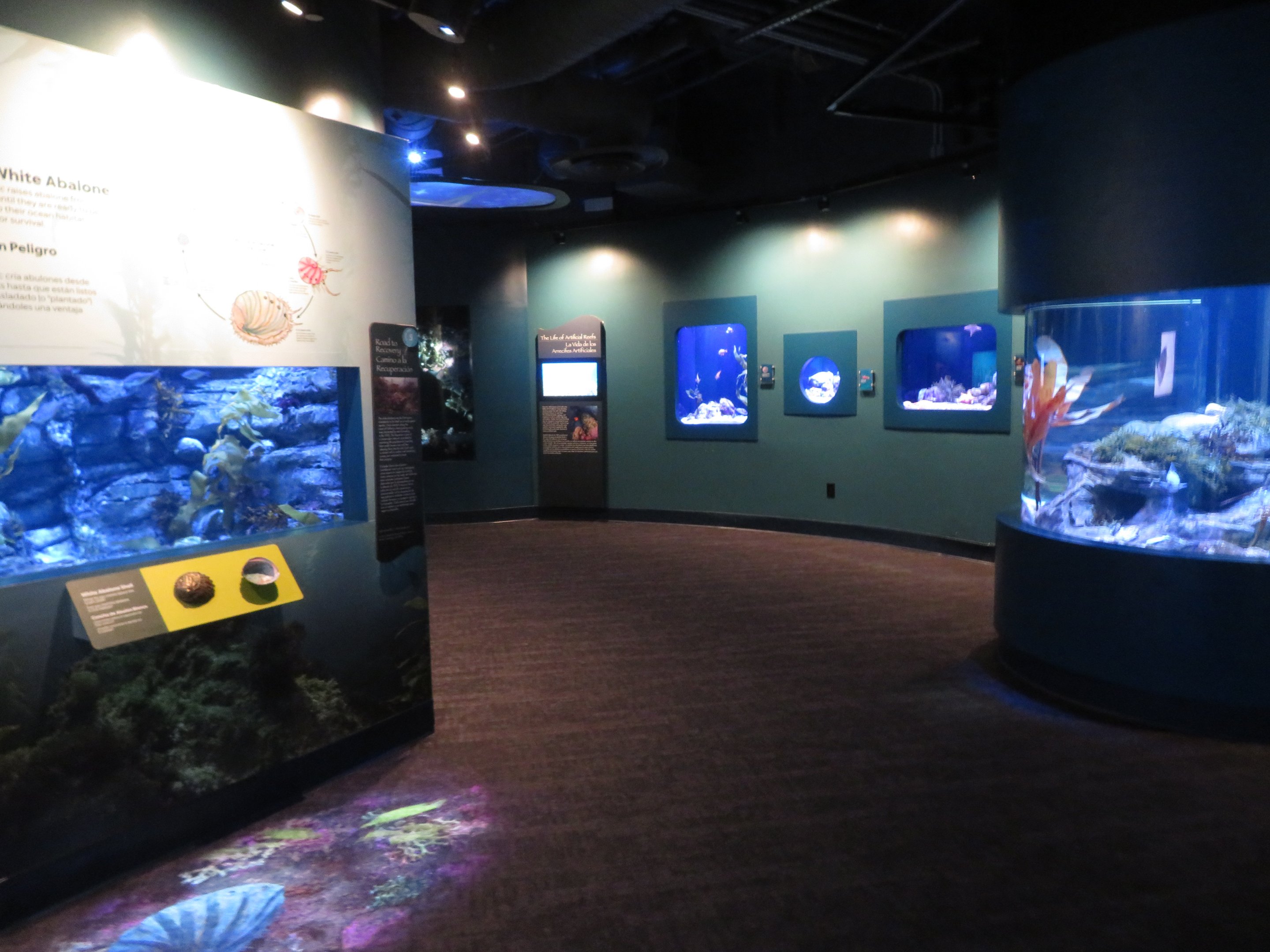 Southern California Gallery