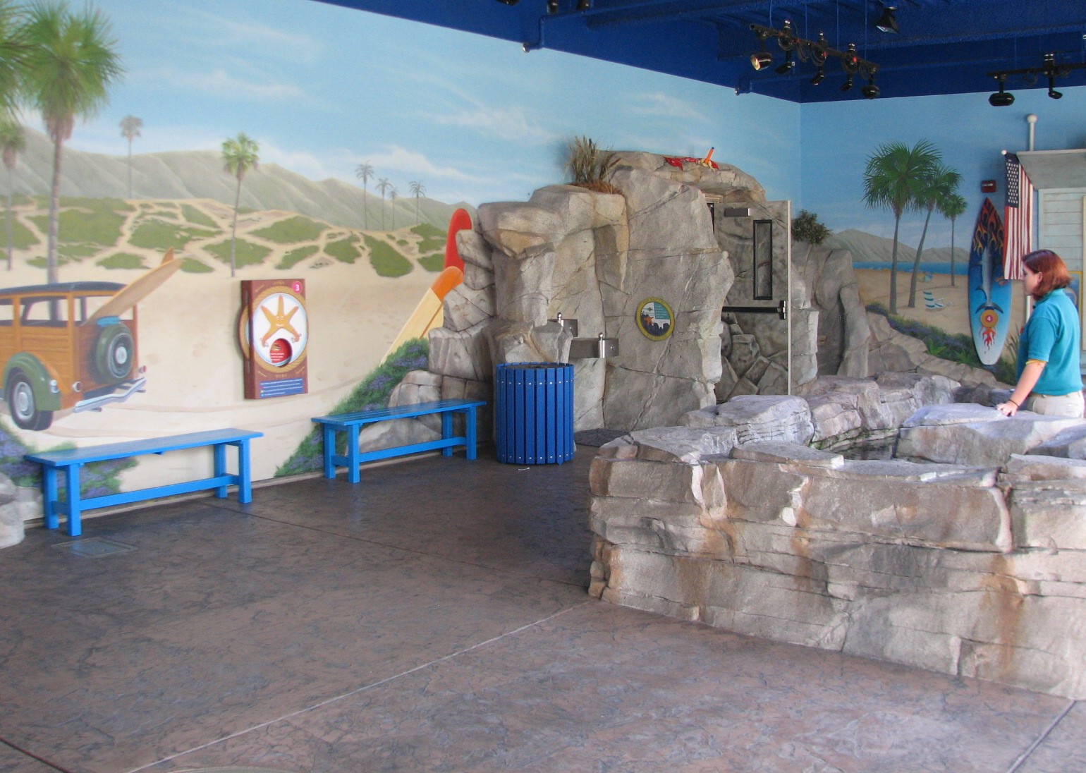 Southern California Tide Pool - Touch Exhibit