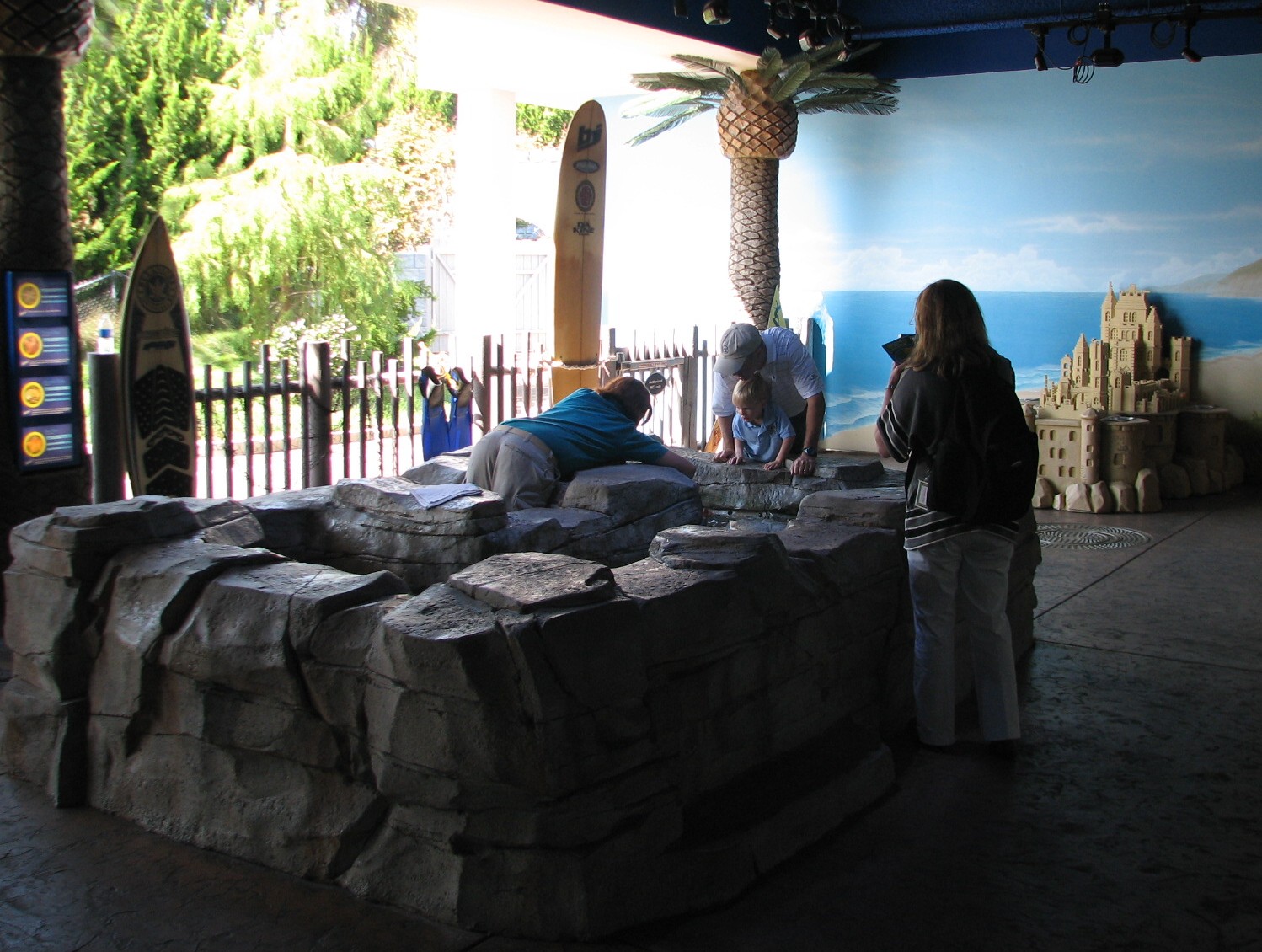 Southern California Tide Pool - Touch Exhibit
