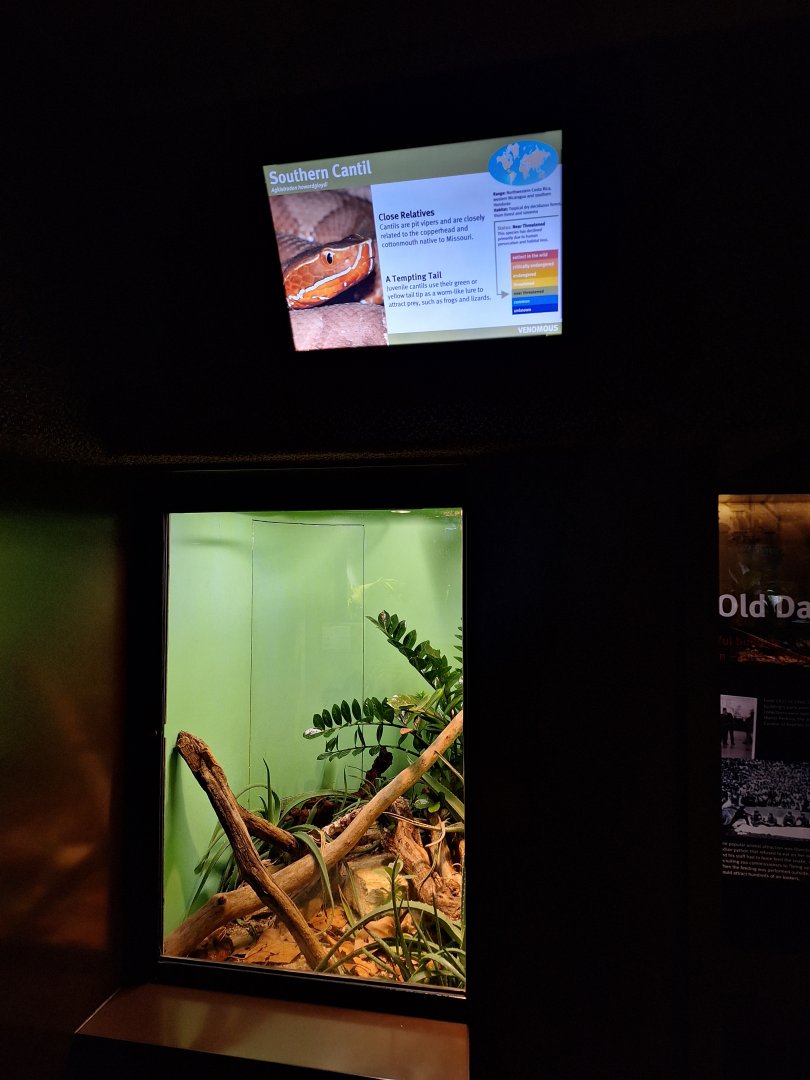 Southern cantil enclosure