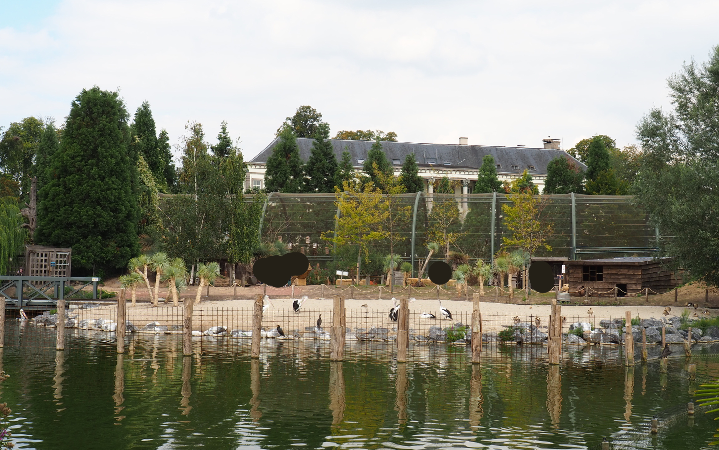 Southern Cape (Australian area) seen from the black howler monkey island, 2020-09-02