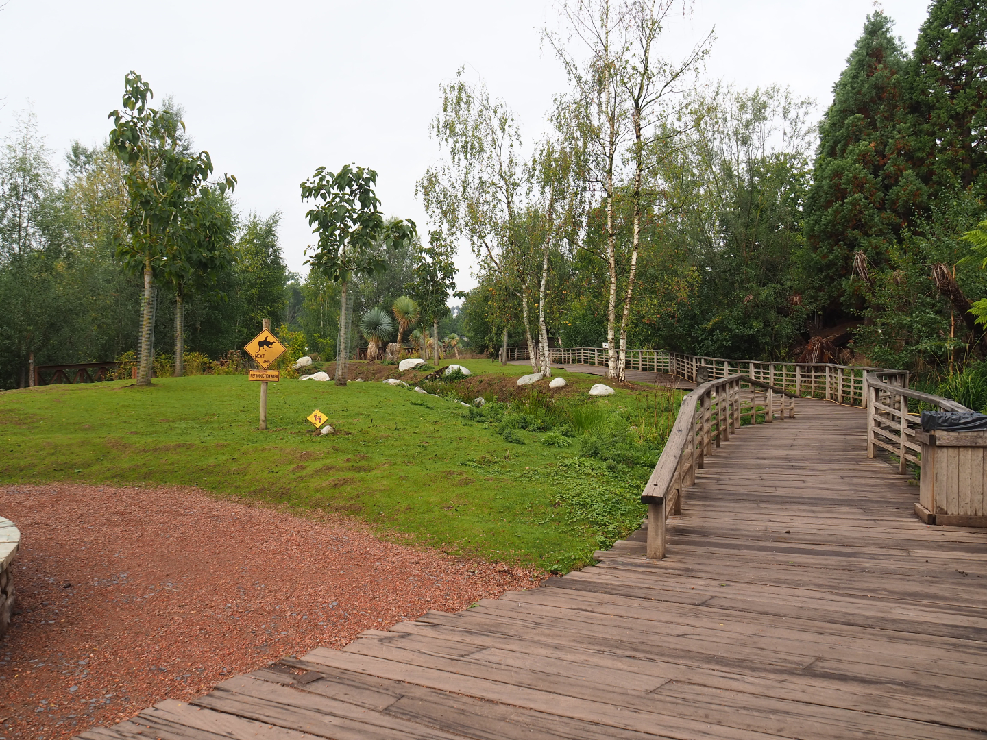 Southern Cape - Emu, Kangaroo and Wallaby walk-through area, 2022-09-15