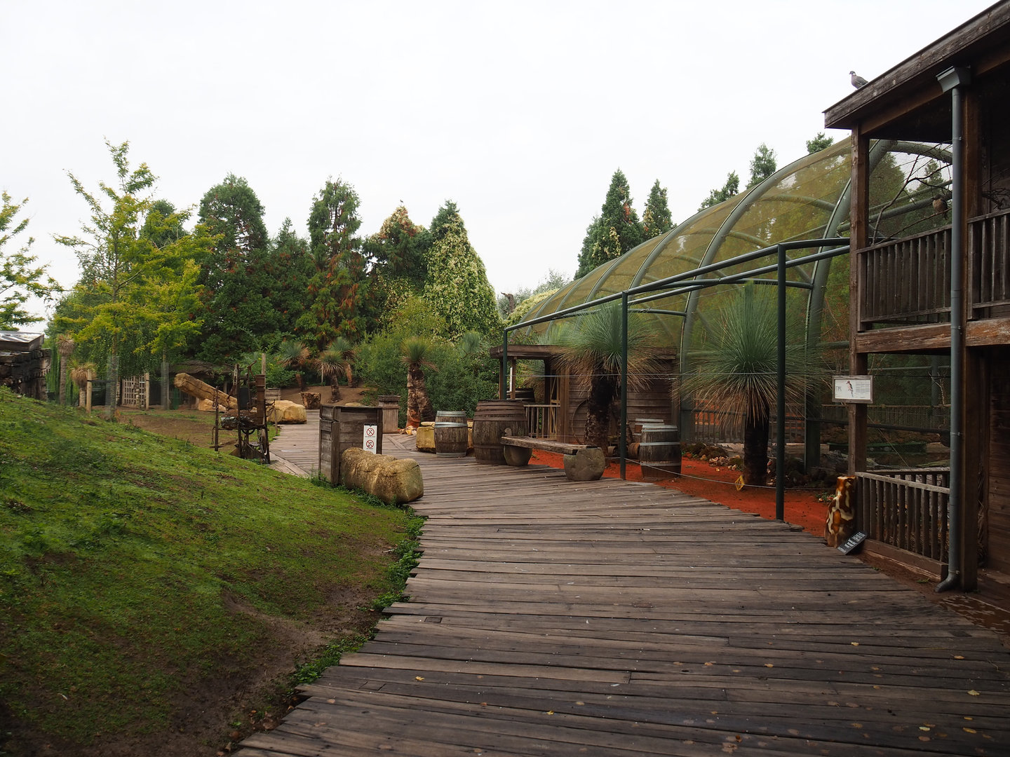 Southern Cape - View of walk-through area and Australian walk-through aviary, 2022-09-15