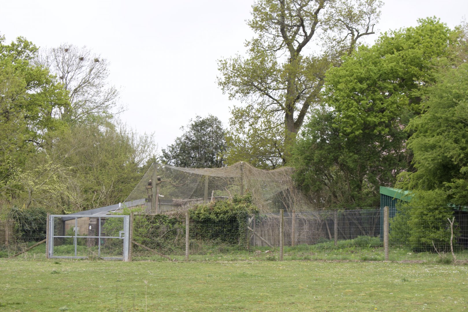 Southern Caracara Enclosure, a far view