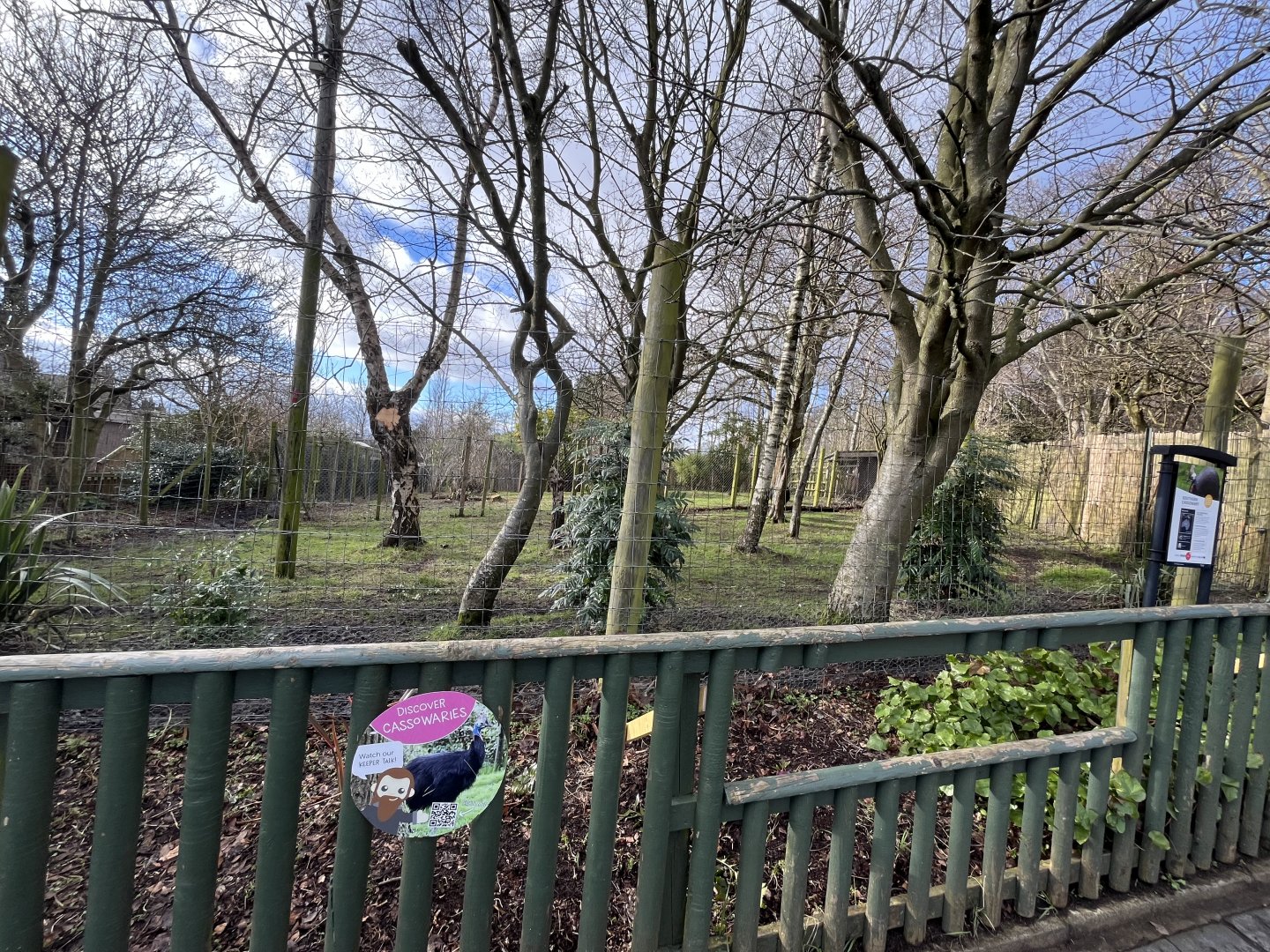 Southern cassowary enclosure in winter 16.2.24