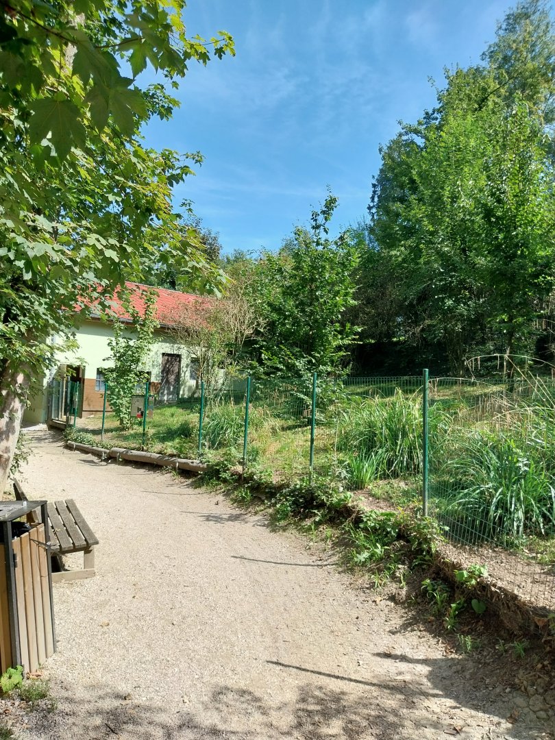Southern cassowary enclosure