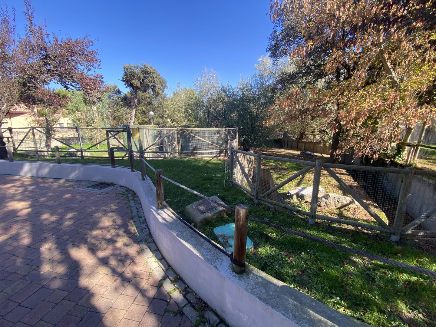 Southern cassowary enclosure