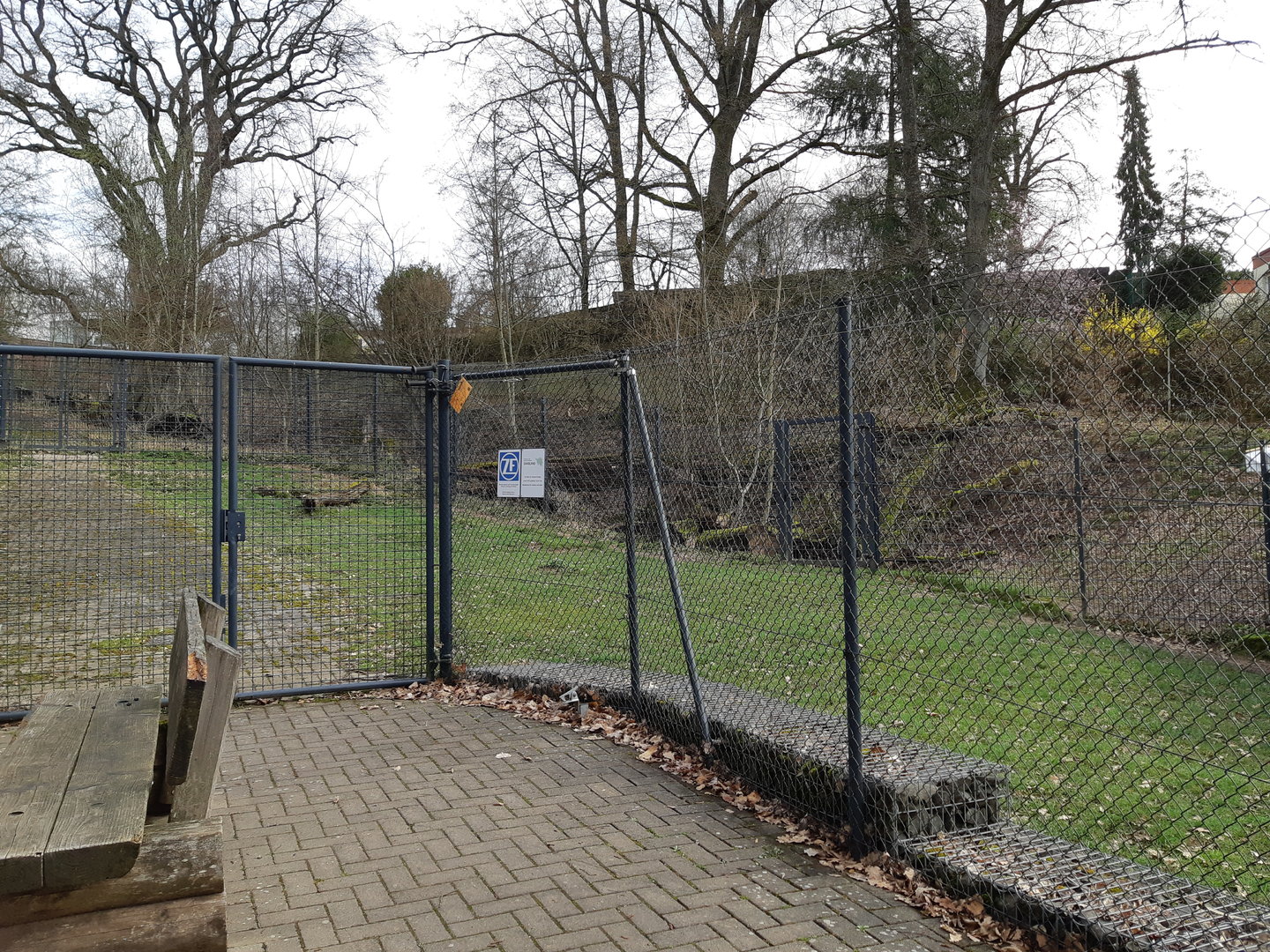Southern cassowary exhibit - Zoo Saarbrücken