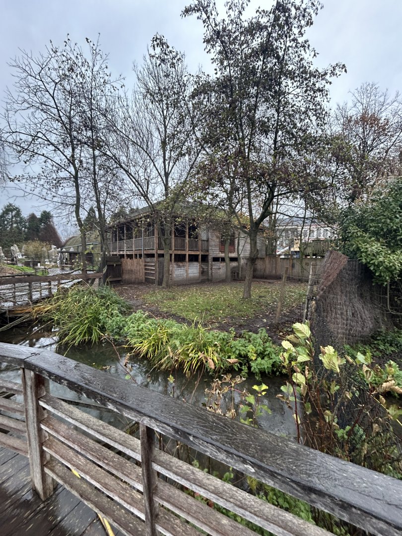 Southern cassowary exhibit