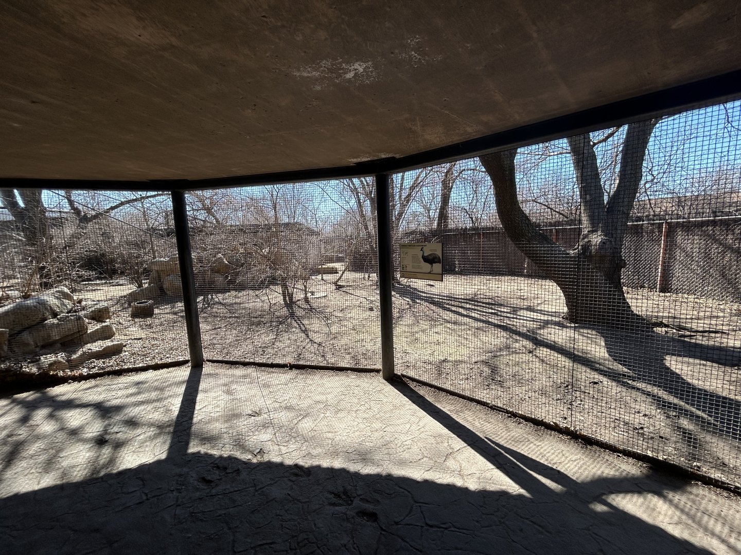 Southern Cassowary Habitat