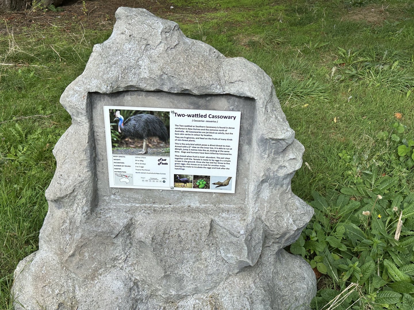 Southern Cassowary Signage at Hamerton Zoo Park (October 2023)