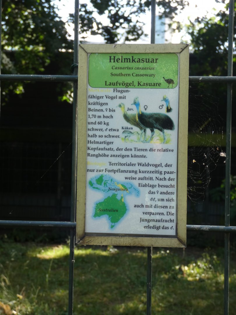 Southern Cassowary signage