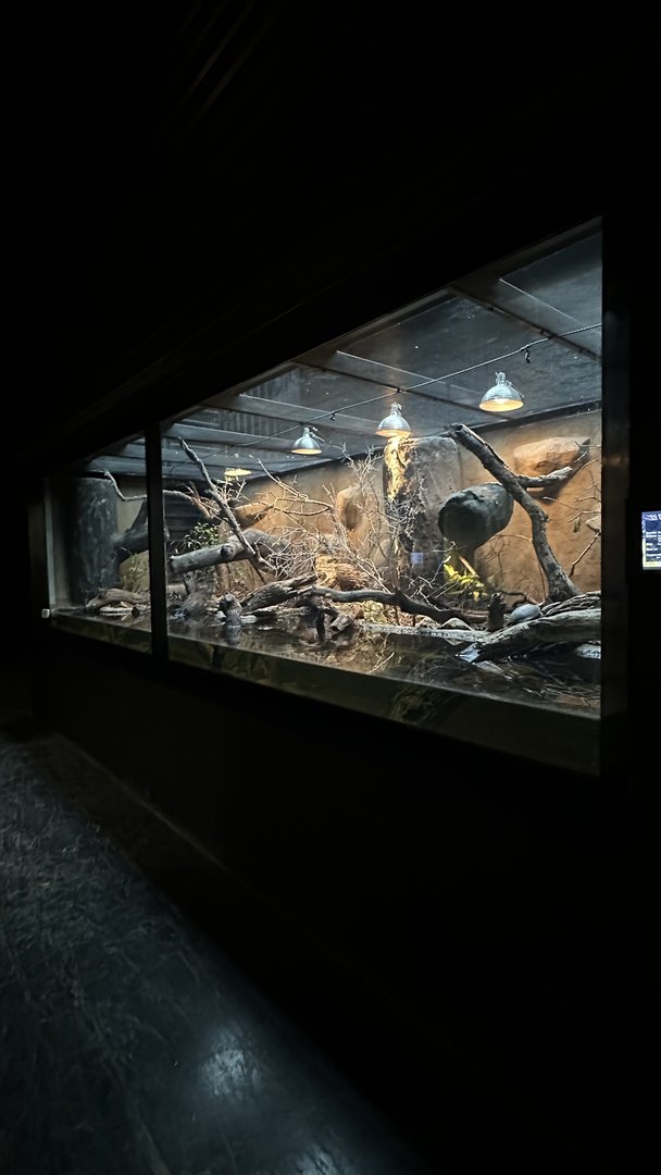 Southern & Central Europe Terrarium