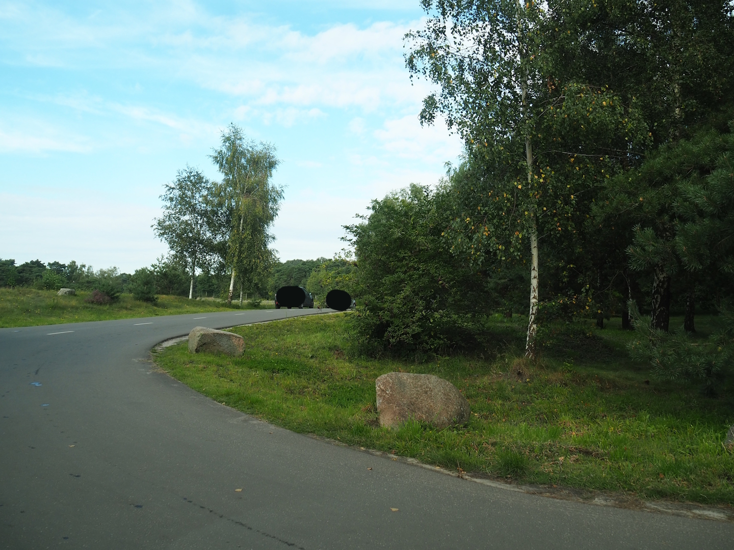 Southern cheetah drive-through exhibit, 2023-08-15