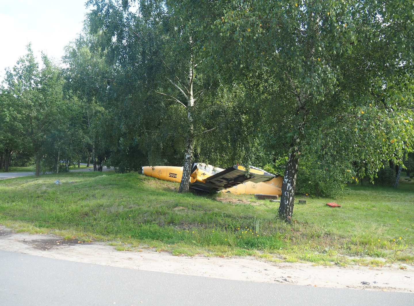 Southern cheetah drive-through exhibit, 2023-08-15