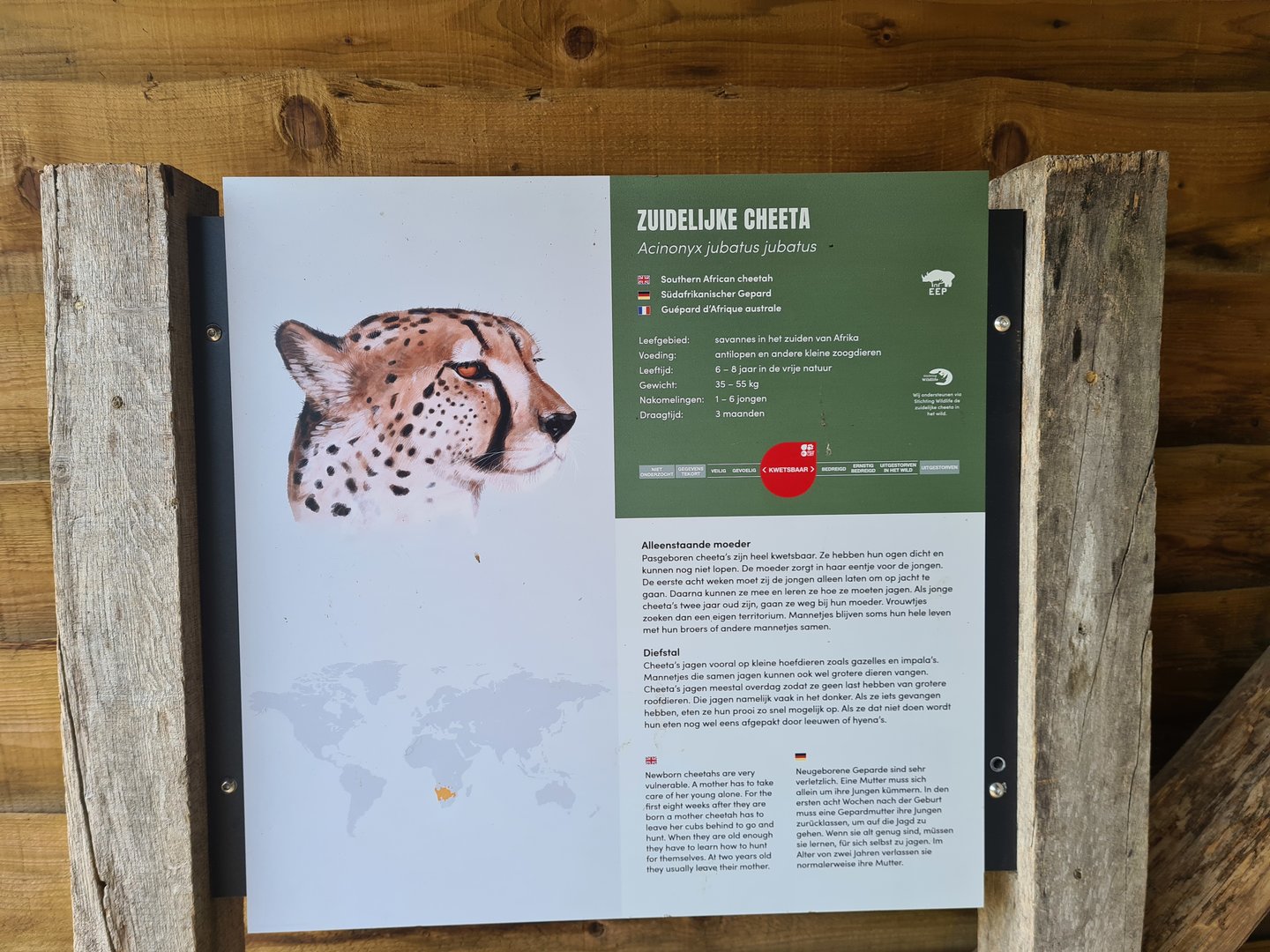 Southern Cheetah signage