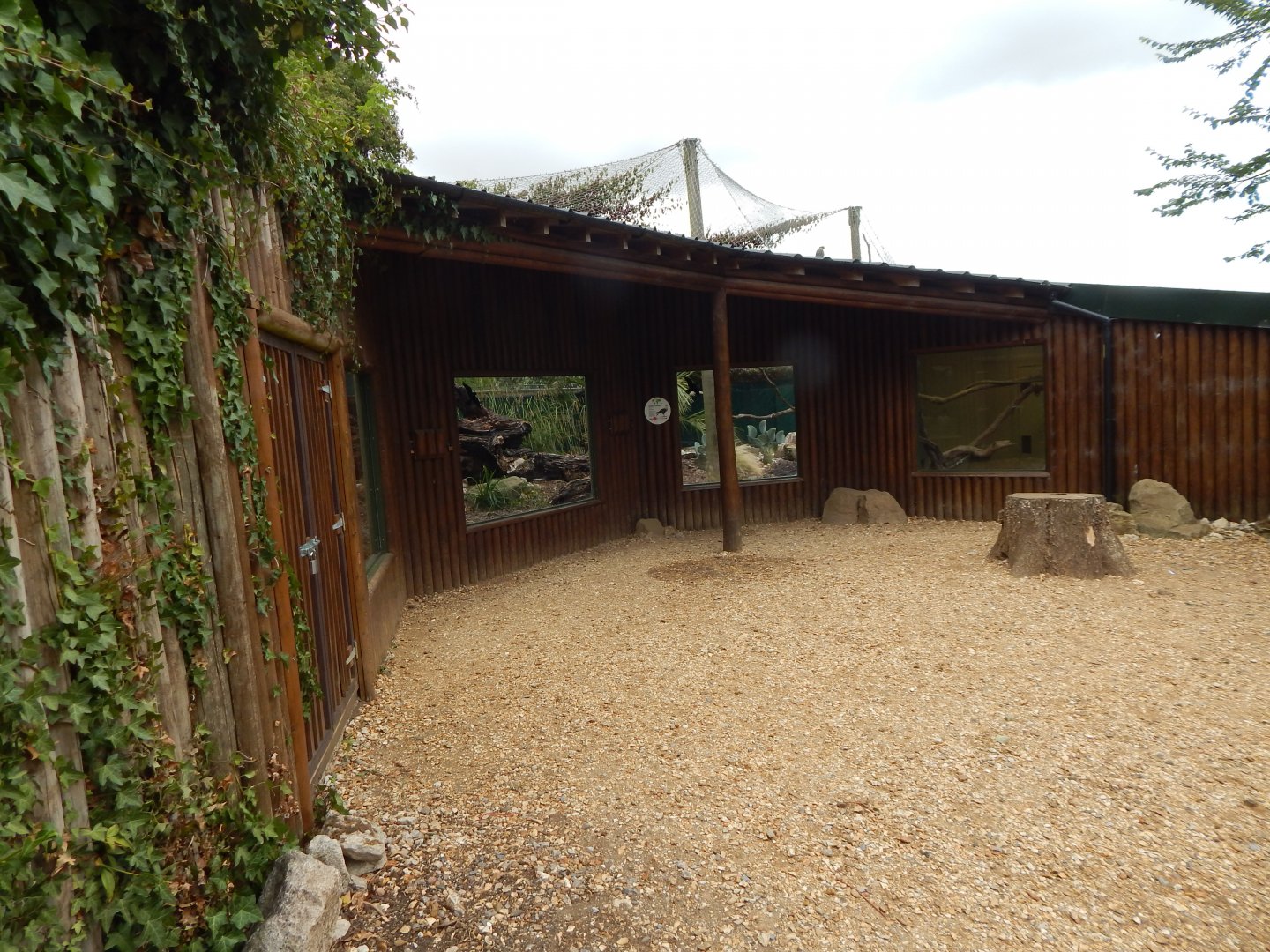 Southern crested caracara enclosure 150725