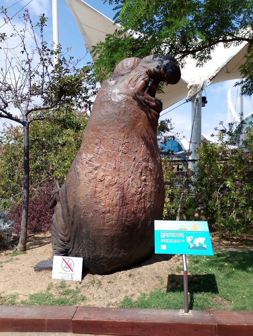 Southern elephant seal statue