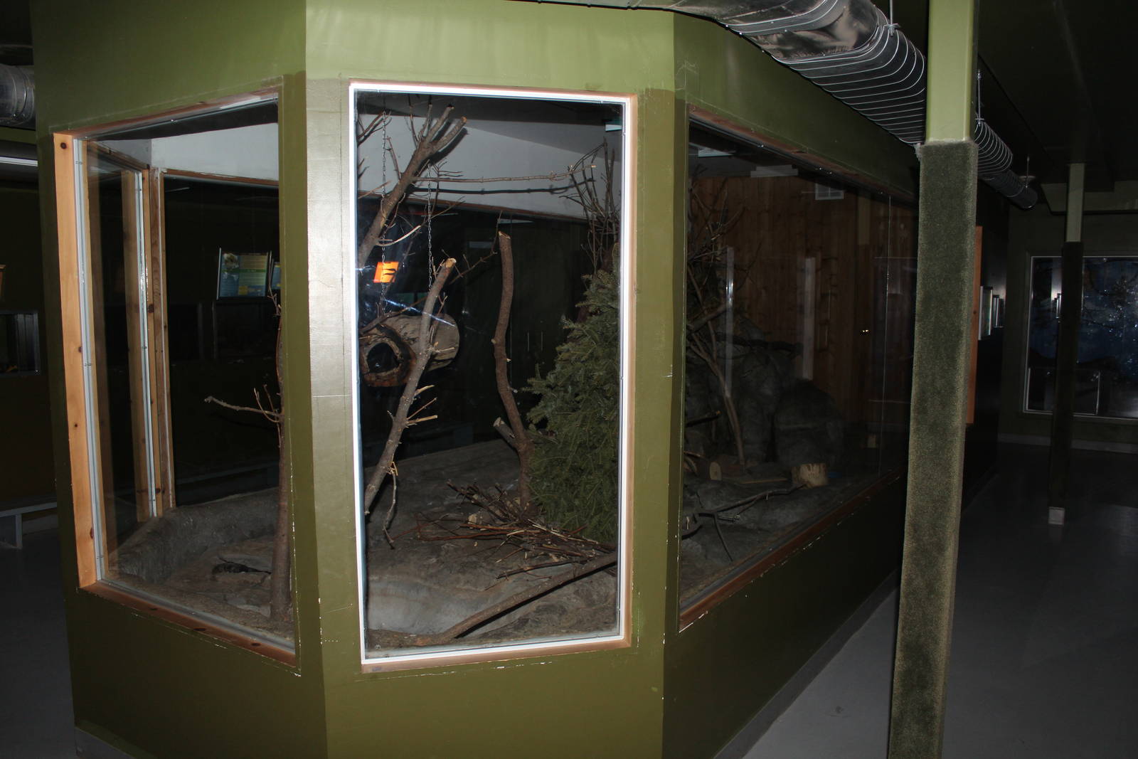 Southern Flying Squirrel Enclosure, Nocturnal House - June 2016