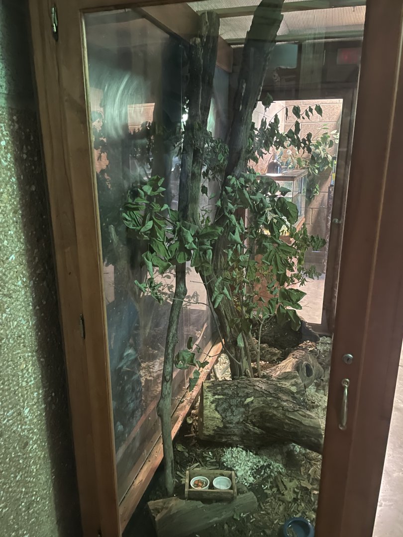 Southern Flying Squirrel Exhibit