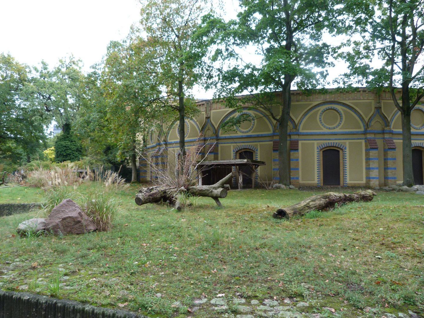 Southern gerenuk and Kirk's dik-dik exhibit -Zoologischer Garten Berlin (2024)