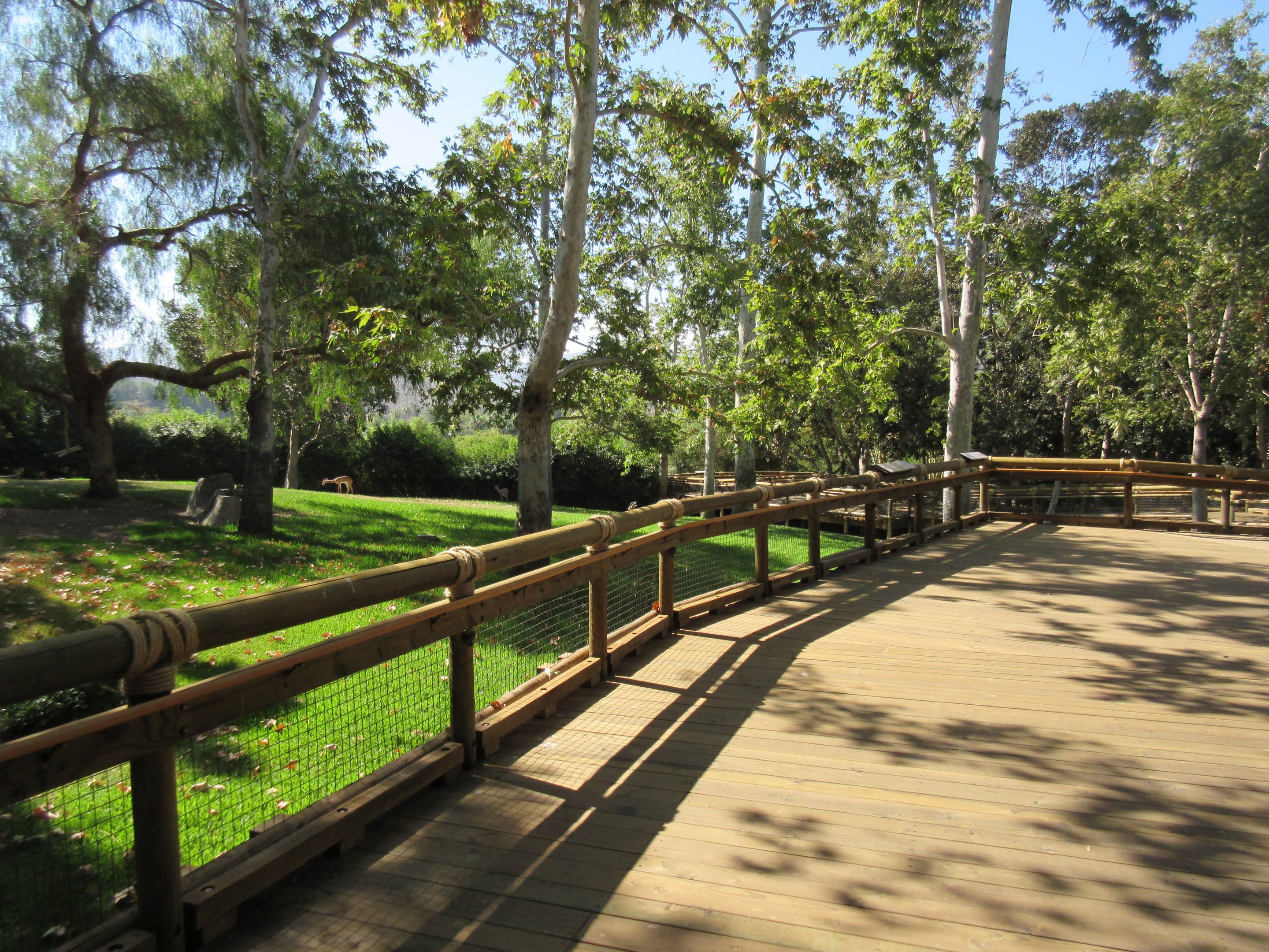 Southern Gerenuk Exhibit + Visitor Boardwalk