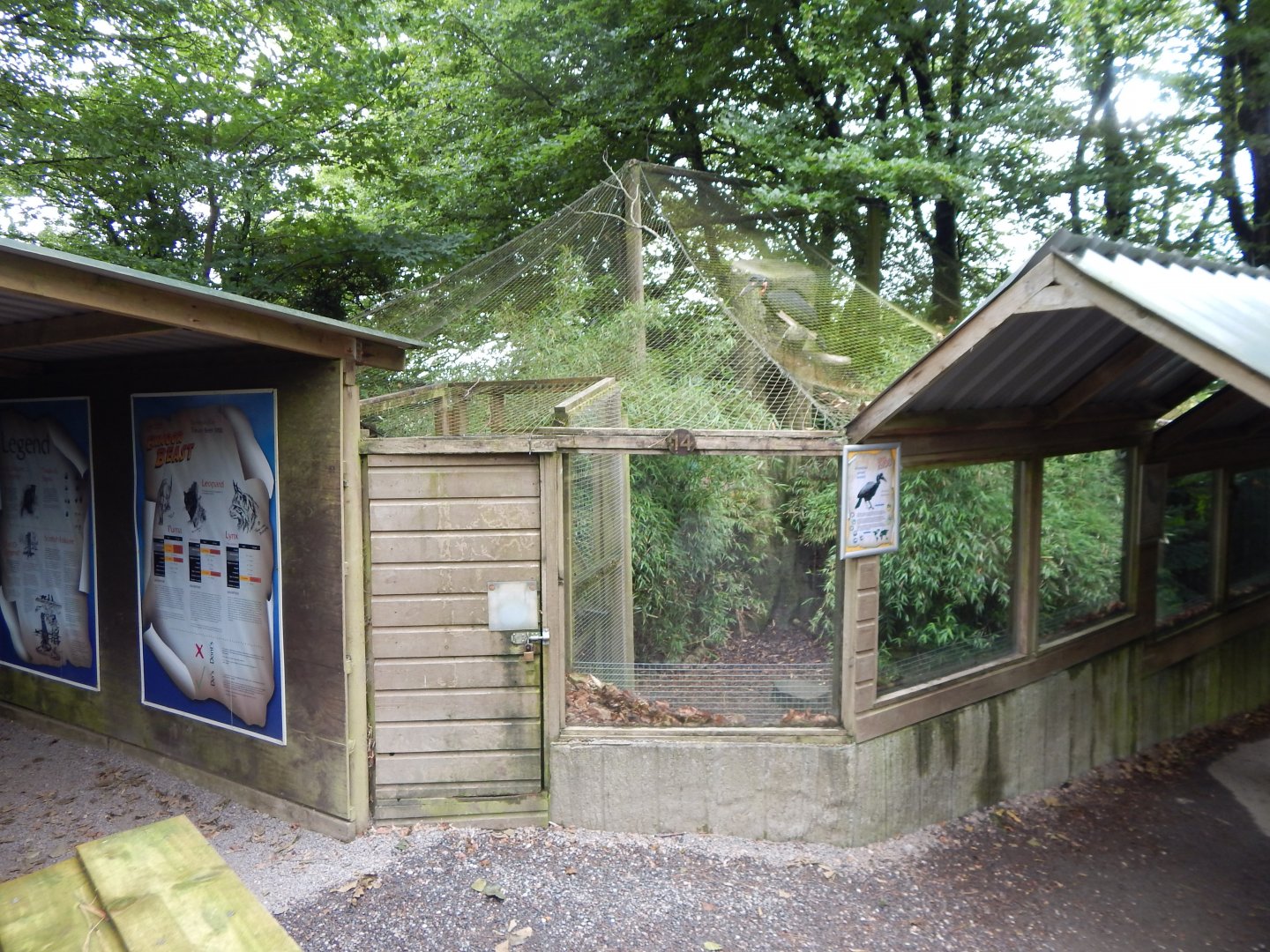 Southern ground hornbill aviary 050625