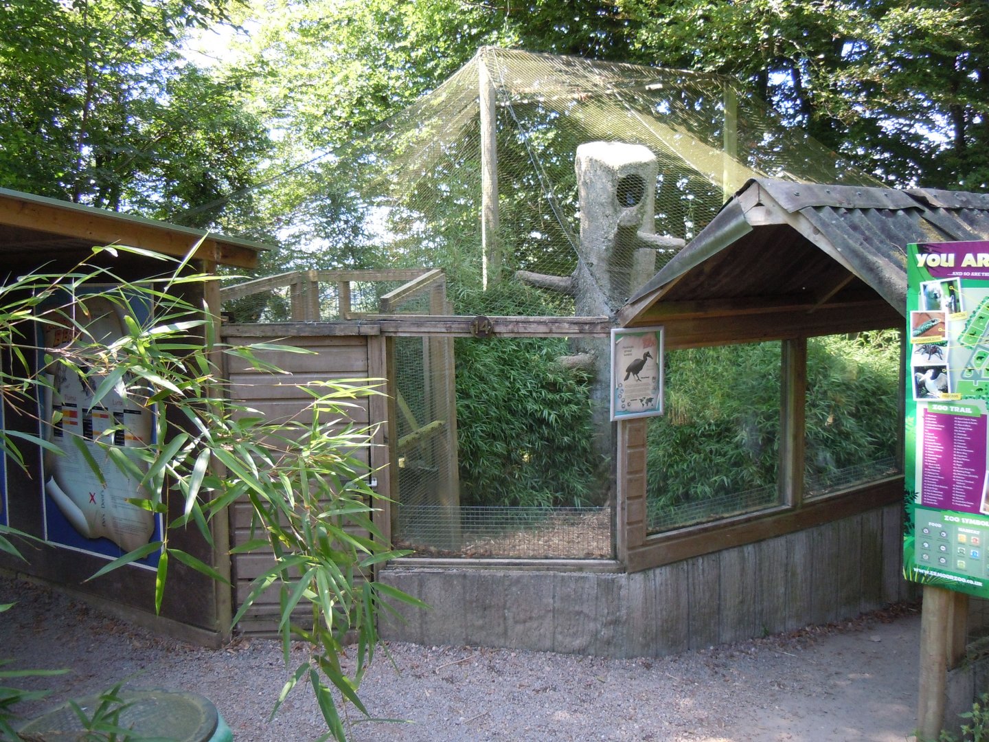 Southern ground hornbill aviary 070820