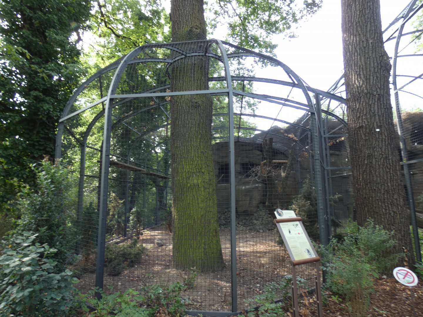 Southern Ground Hornbill aviary