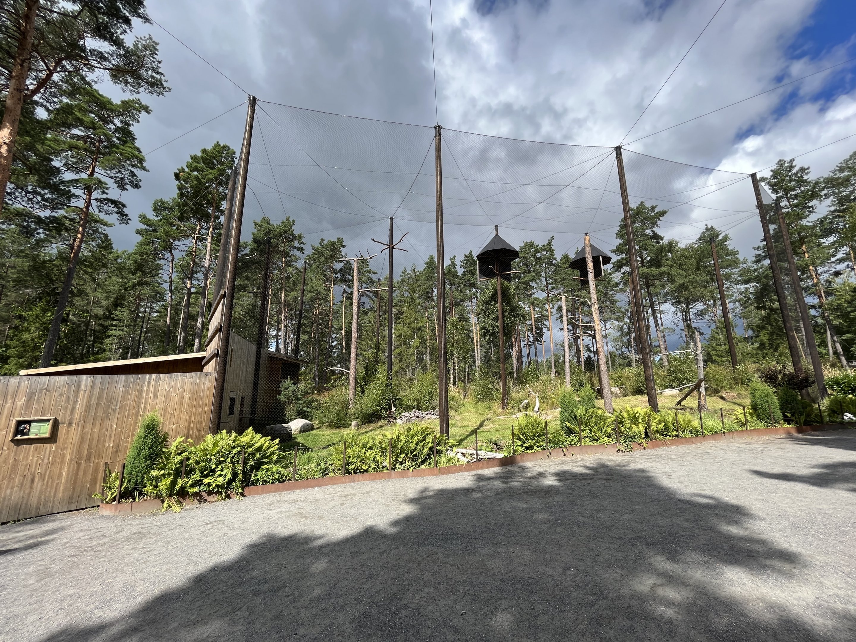 Southern Ground Hornbill Aviary