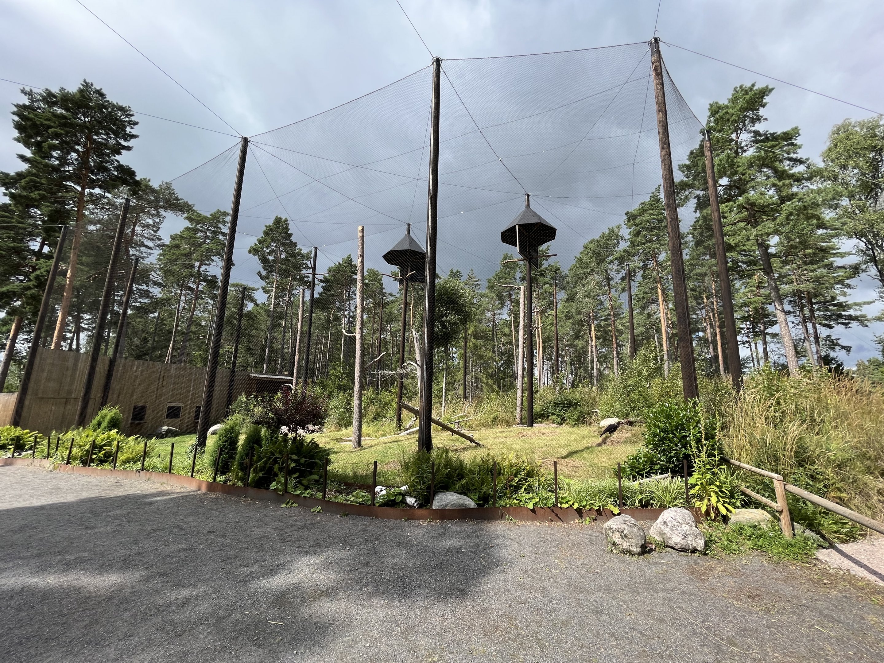 Southern Ground Hornbill Aviary