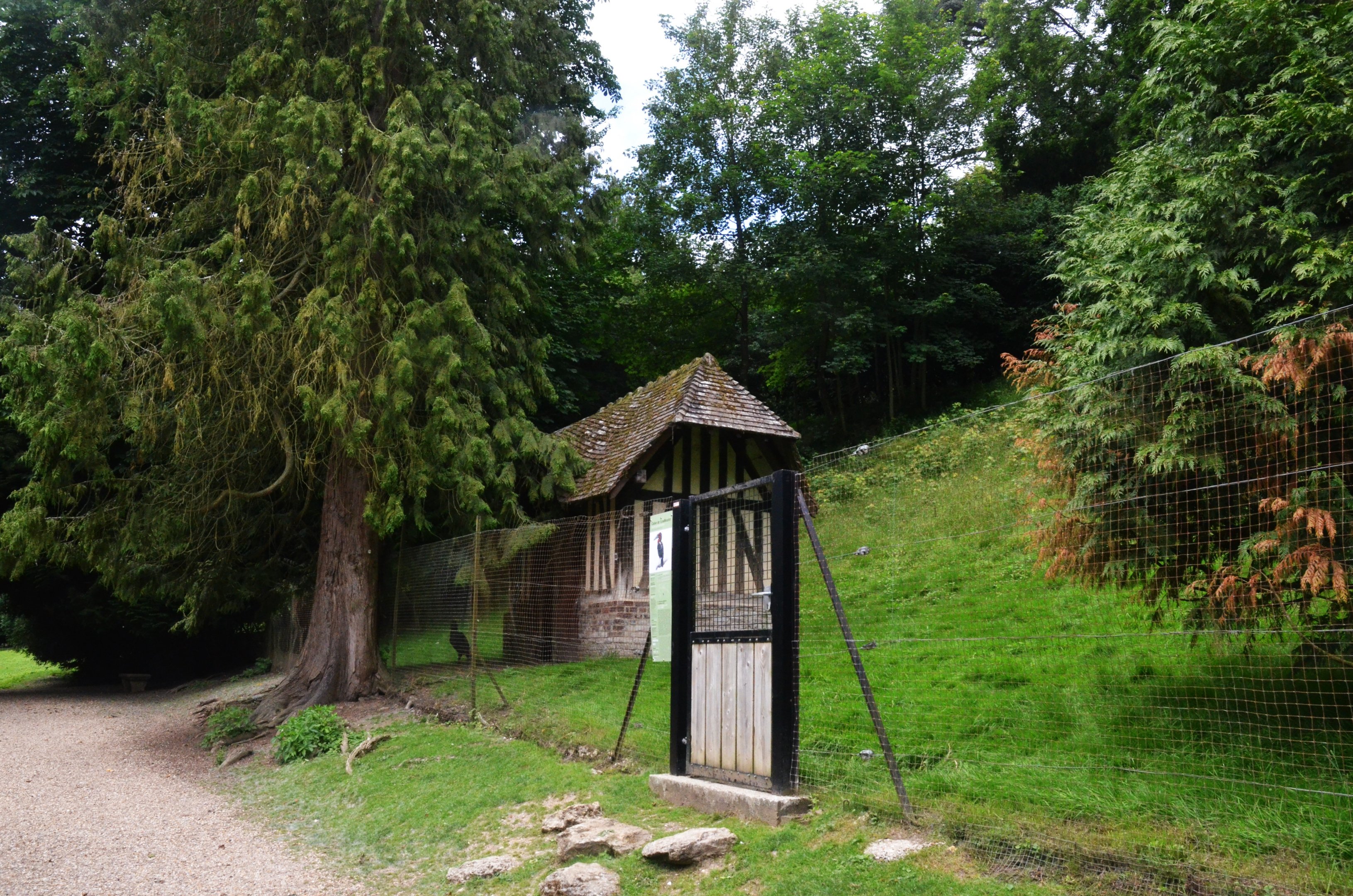 Southern Ground Hornbill Enclosure at Clères, 16/06/18
