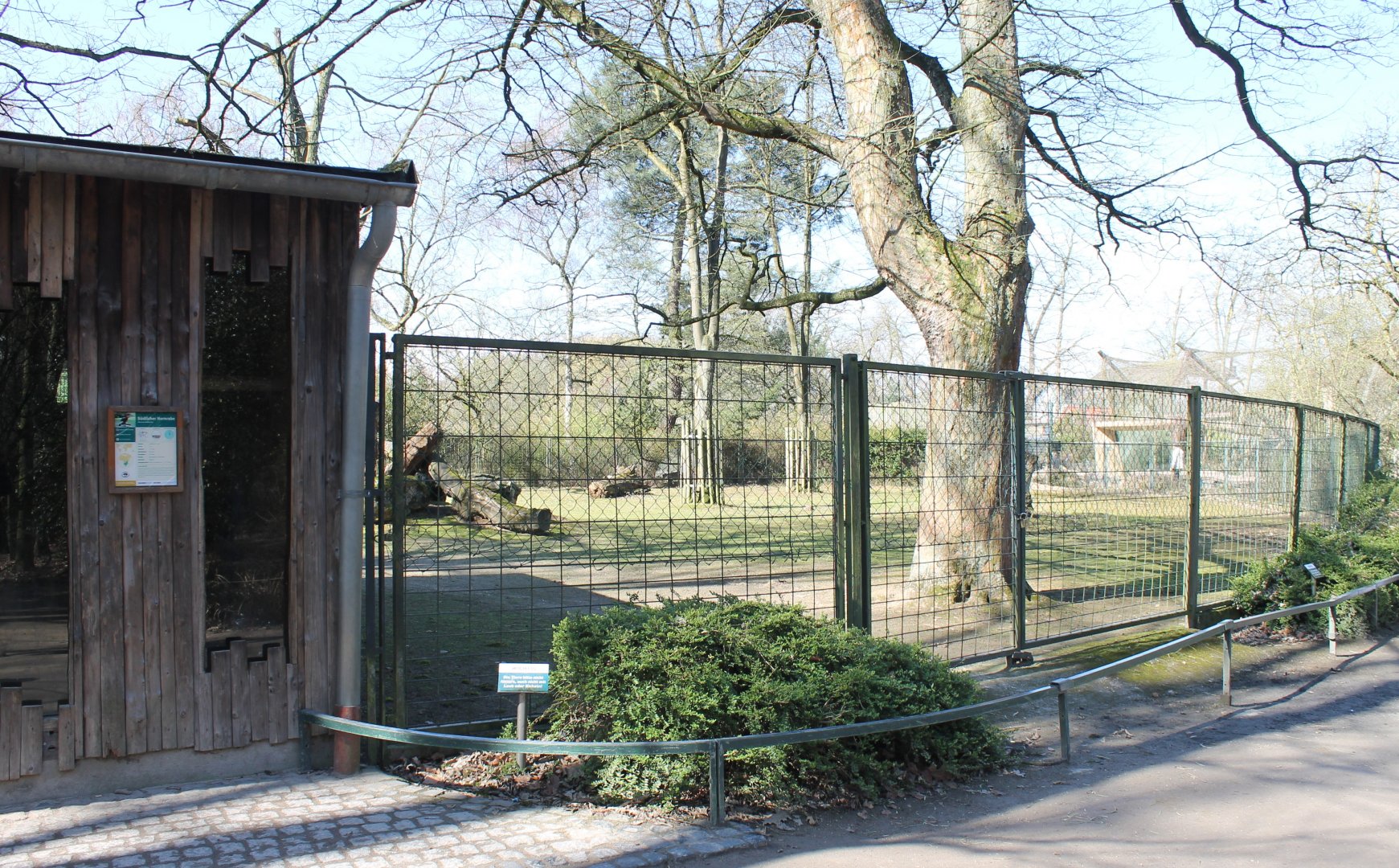 Southern ground hornbill-enclosure