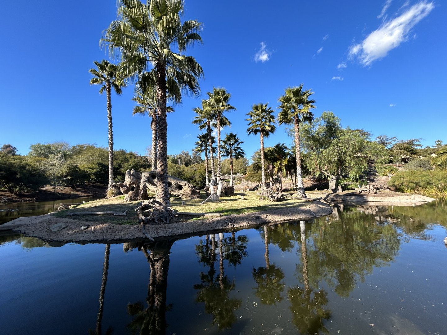 Southern Ground Hornbill Exhibit - African Loop
