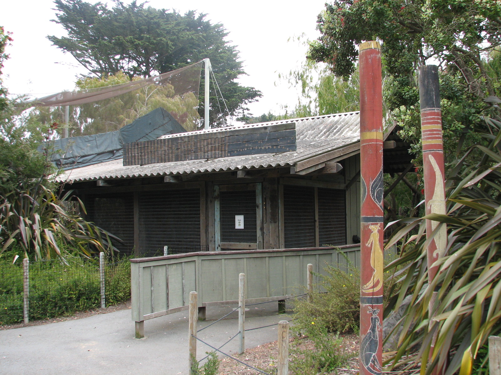 Southern Ground Hornbill Exhibit